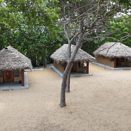 Peanut Farm Surf And Wild Resort - Arugambay Arugam Bay Exteriér fotografie