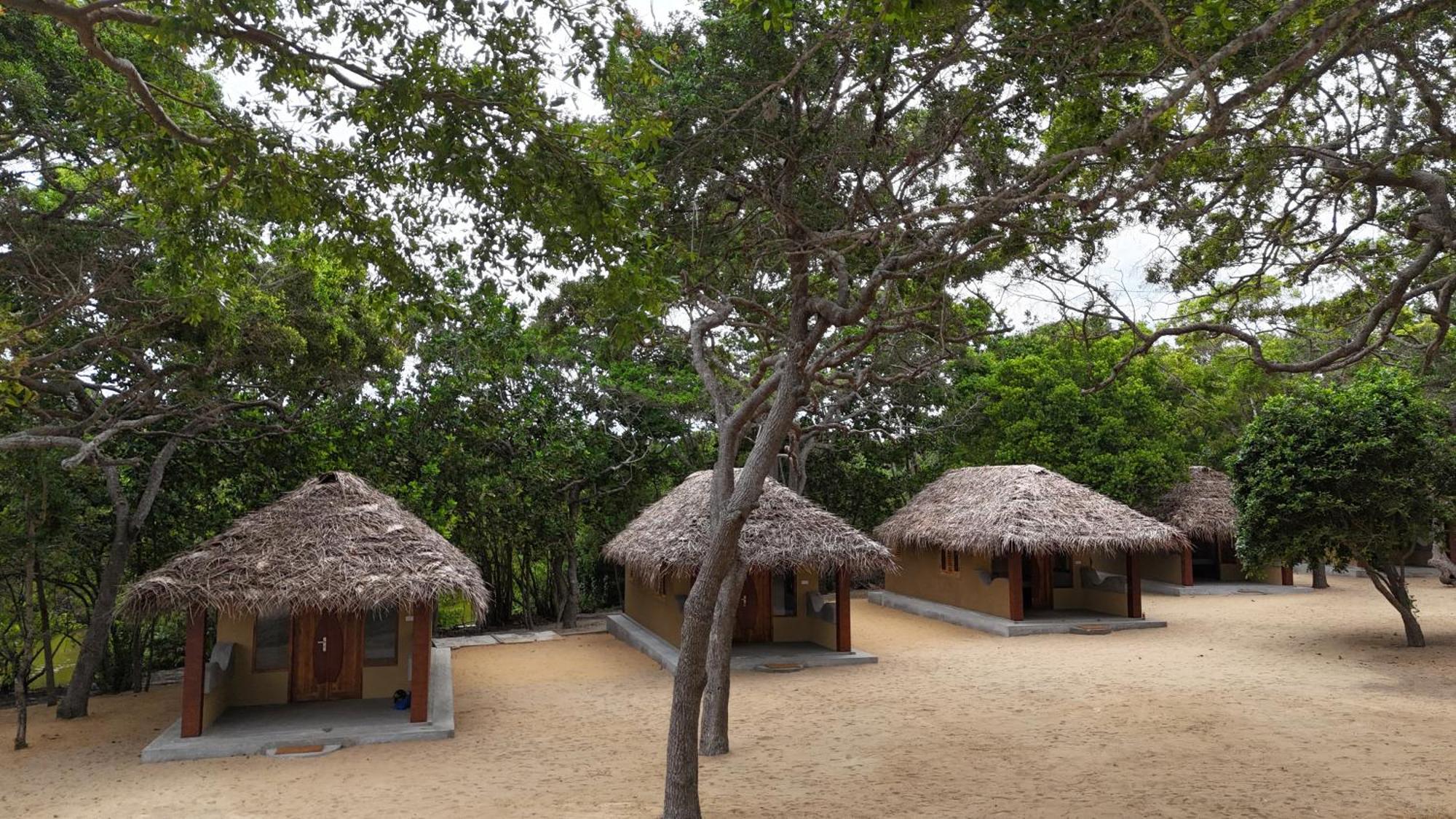 Peanut Farm Surf And Wild Resort - Arugambay Arugam Bay Exteriér fotografie