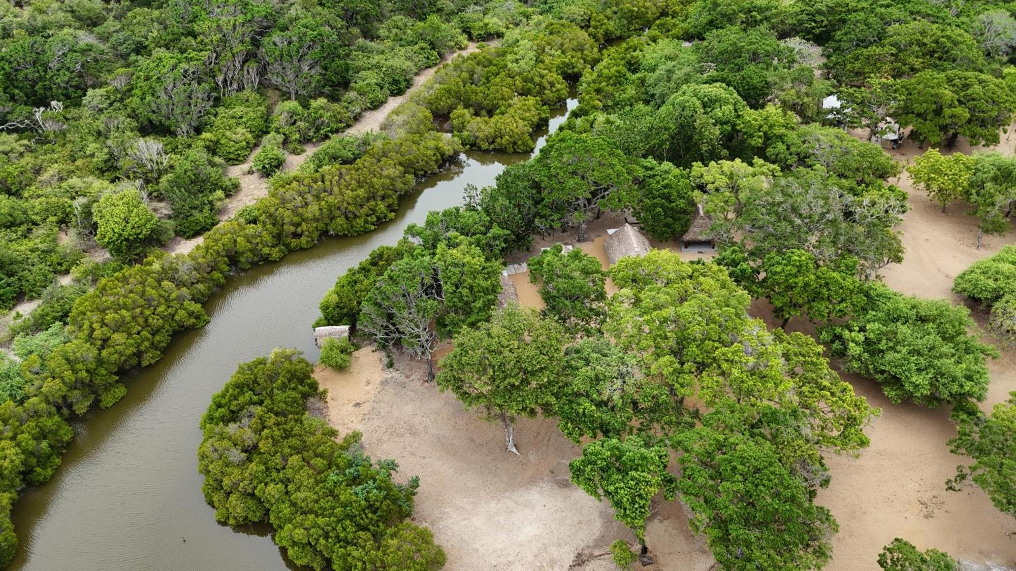 Peanut Farm Surf And Wild Resort - Arugambay Arugam Bay Exteriér fotografie