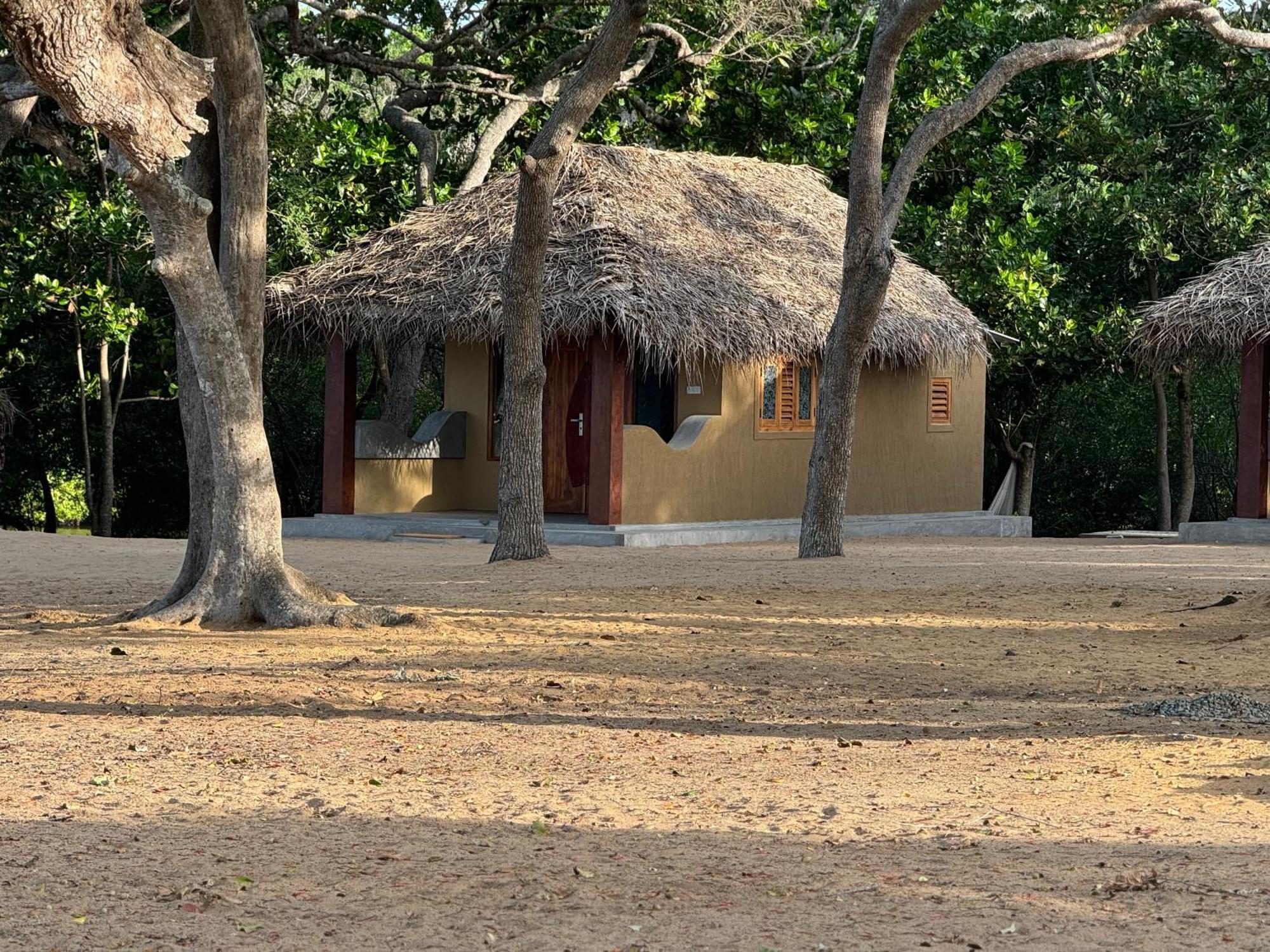 Peanut Farm Surf And Wild Resort - Arugambay Arugam Bay Exteriér fotografie