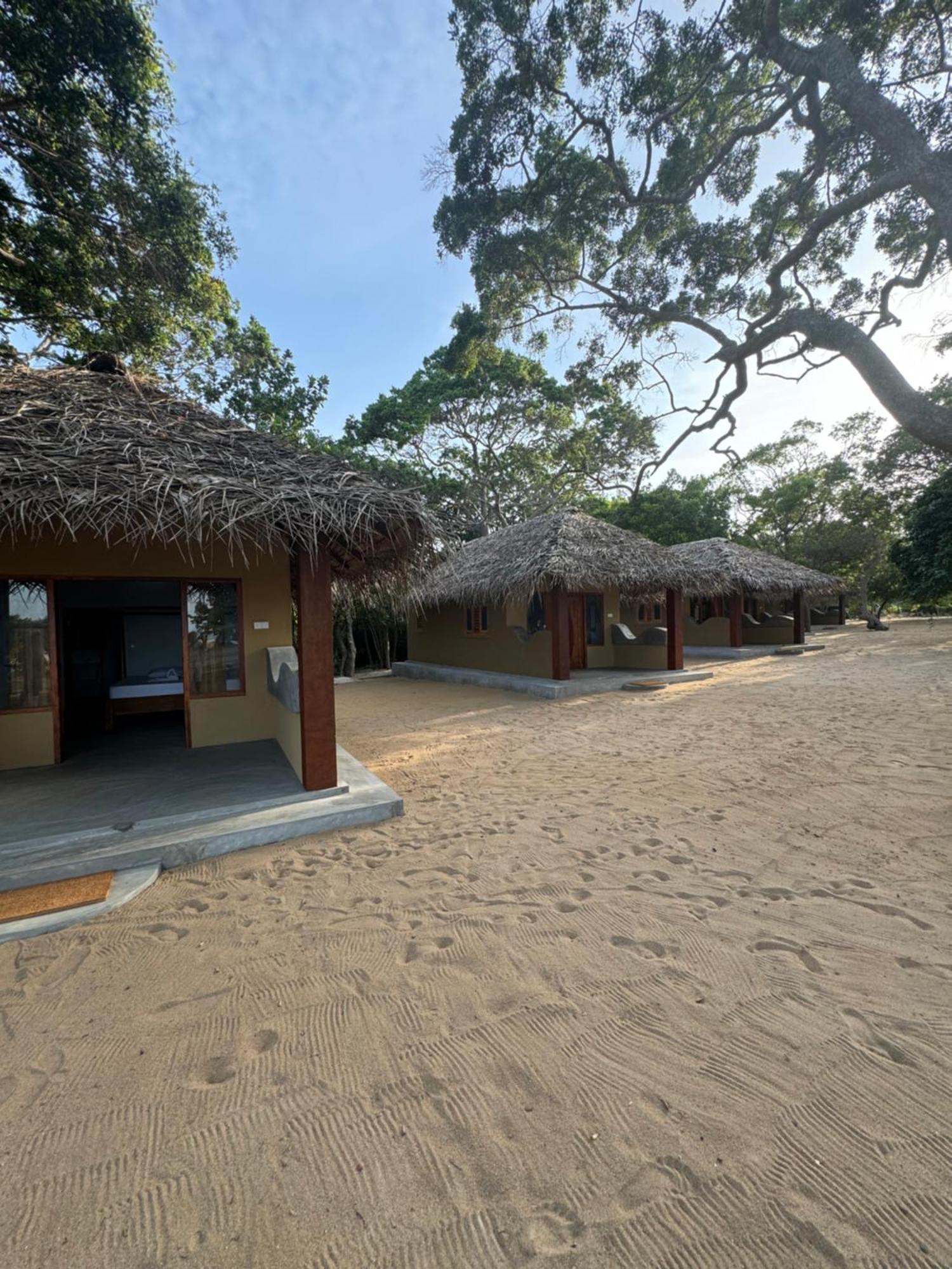 Peanut Farm Surf And Wild Resort - Arugambay Arugam Bay Exteriér fotografie