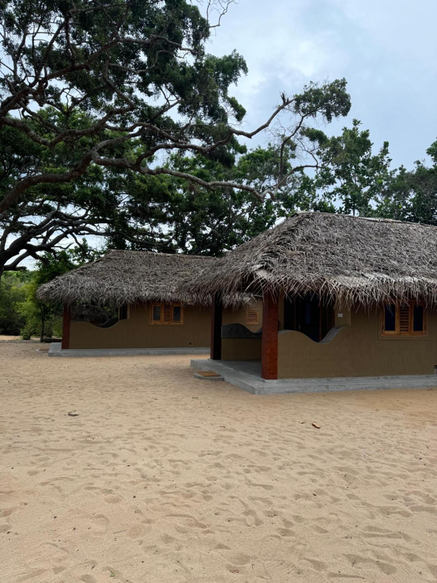 Peanut Farm Surf And Wild Resort - Arugambay Arugam Bay Exteriér fotografie